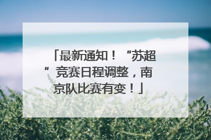 最新通知！“苏超”竞赛日程调整，南京队比赛有变！