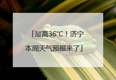 最高36℃！济宁本周天气预报来了