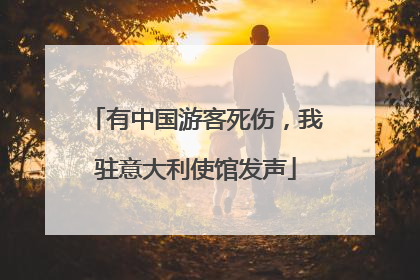 有中国游客死伤，我驻意大利使馆发声