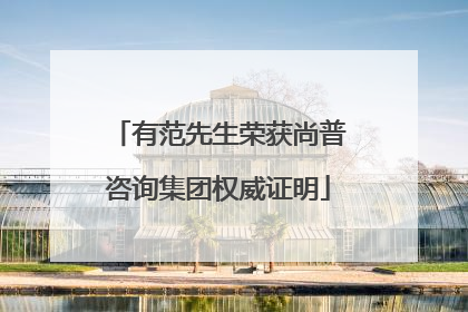 有范先生荣获尚普咨询集团权威证明