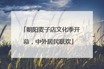 朝阳麦子店文化季开幕，中外居民联欢