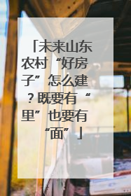未来山东农村“好房子”怎么建？既要有“里”也要有“面”