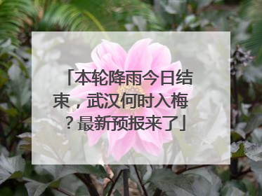 本轮降雨今日结束，武汉何时入梅？最新预报来了