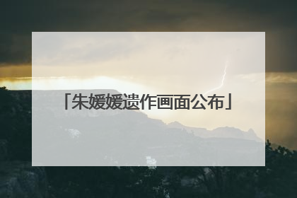 朱媛媛遗作画面公布