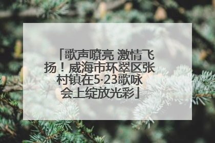 歌声嘹亮 激情飞扬！威海市环翠区张村镇在5·23歌咏会上绽放光彩