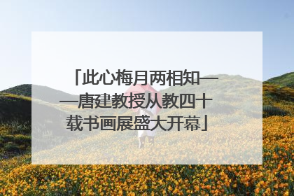 此心梅月两相知——唐建教授从教四十载书画展盛大开幕