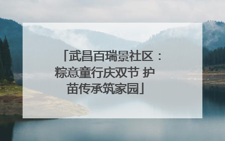 武昌百瑞景社区：粽意童行庆双节 护苗传承筑家园