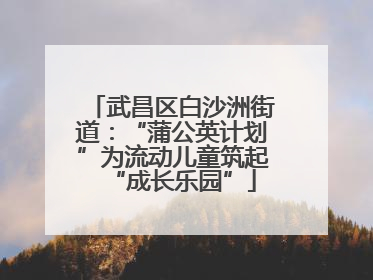 武昌区白沙洲街道：“蒲公英计划”为流动儿童筑起“成长乐园”