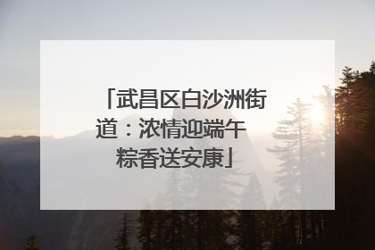 武昌区白沙洲街道：浓情迎端午 粽香送安康