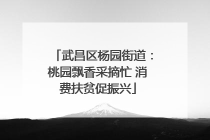 武昌区杨园街道：桃园飘香采摘忙 消费扶贫促振兴
