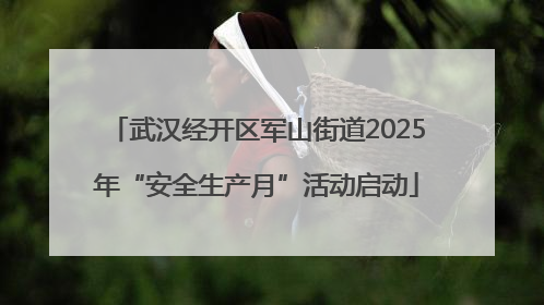 武汉经开区军山街道2025年“安全生产月”活动启动