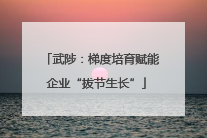 武陟：梯度培育赋能企业“拔节生长”