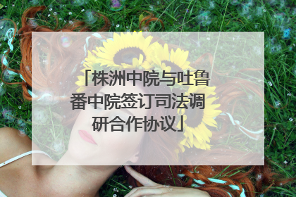 株洲中院与吐鲁番中院签订司法调研合作协议