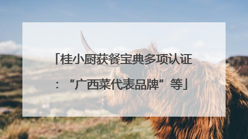 桂小厨获餐宝典多项认证：“广西菜代表品牌”等