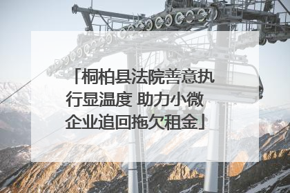 桐柏县法院善意执行显温度 助力小微企业追回拖欠租金