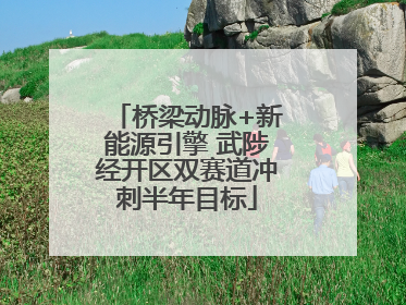 桥梁动脉+新能源引擎 武陟经开区双赛道冲刺半年目标