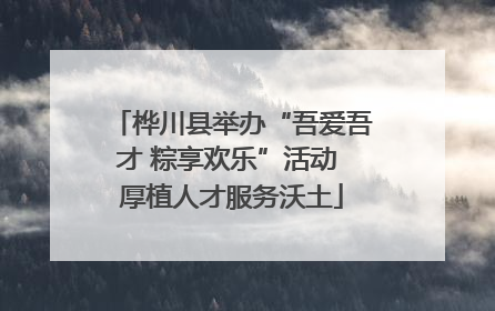 桦川县举办“吾爱吾才 粽享欢乐”活动 厚植人才服务沃土
