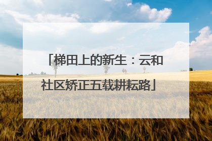 梯田上的新生：云和社区矫正五载耕耘路