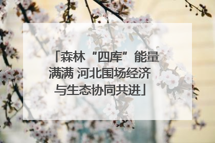 森林“四库”能量满满 河北围场经济与生态协同共进