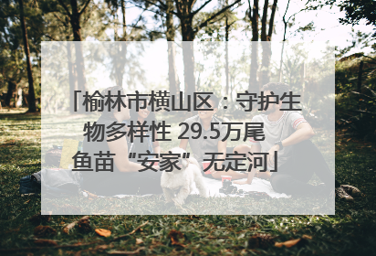 榆林市横山区：守护生物多样性 29.5万尾鱼苗“安家”无定河