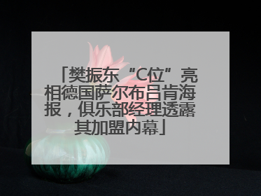 樊振东“C位”亮相德国萨尔布吕肯海报，俱乐部经理透露其加盟内幕