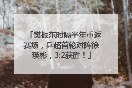 樊振东时隔半年重返赛场，乒超首轮对阵徐瑛彬，3:2获胜！