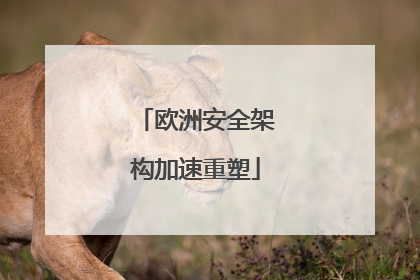 欧洲安全架构加速重塑