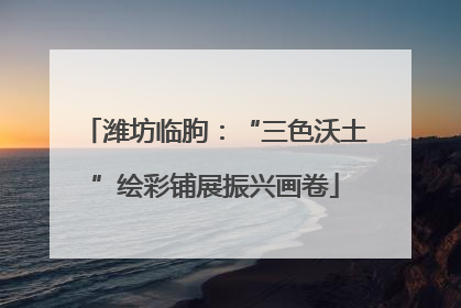 潍坊临朐：“三色沃土”绘彩铺展振兴画卷