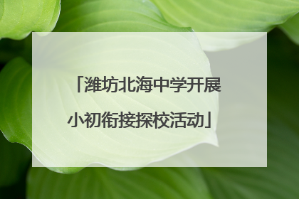 潍坊北海中学开展小初衔接探校活动