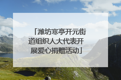 潍坊寒亭开元街道组织人大代表开展爱心捐赠活动