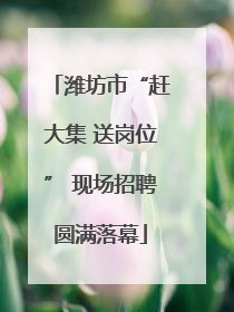 潍坊市“赶大集 送岗位” 现场招聘圆满落幕