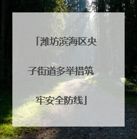潍坊滨海区央子街道多举措筑牢安全防线