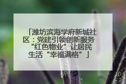 潍坊滨海学府新城社区：党建引领创新服务 “红色物业”让居民生活“幸福满格”