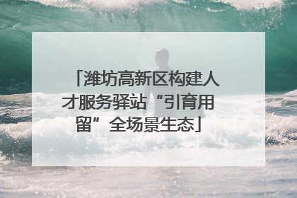 潍坊高新区构建人才服务驿站“引育用留”全场景生态
