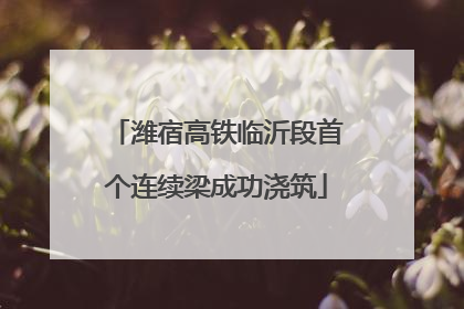 潍宿高铁临沂段首个连续梁成功浇筑