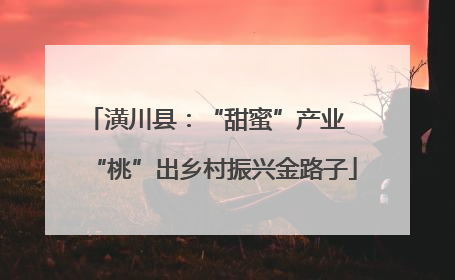 潢川县：“甜蜜”产业  “桃”出乡村振兴金路子