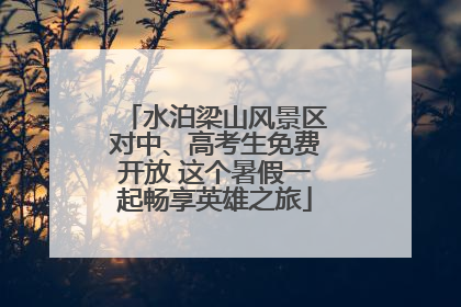 水泊梁山风景区对中、高考生免费开放 这个暑假一起畅享英雄之旅