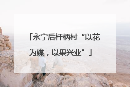 永宁后杆柄村“以花为媒，以果兴业”