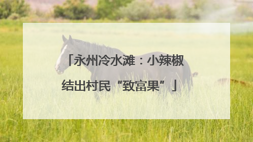 永州冷水滩：小辣椒结出村民“致富果”