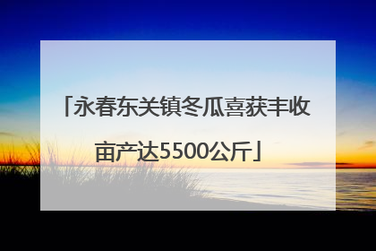 永春东关镇冬瓜喜获丰收 亩产达5500公斤