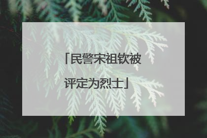 民警宋祖钦被评定为烈士