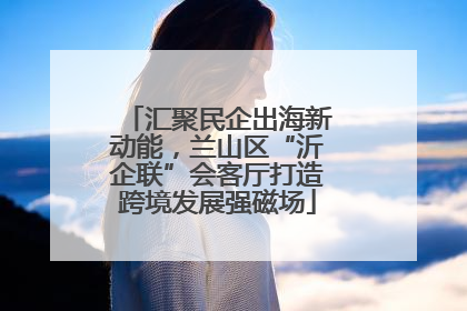 汇聚民企出海新动能，兰山区“沂企联”会客厅打造跨境发展强磁场