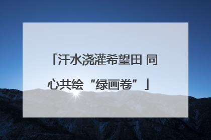 汗水浇灌希望田 同心共绘“绿画卷”