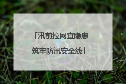 汛前拉网查隐患 筑牢防汛安全线