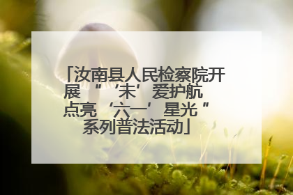 汝南县人民检察院开展 “‘未’爱护航 点亮‘六一’星光 ”系列普法活动