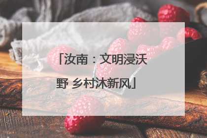 汝南：文明浸沃野 乡村沐新风