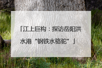 江上巨构：探访岳阳洪水港“钢铁水骆驼”