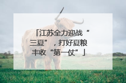 江苏全力迎战“三夏”，打好夏粮丰收“第一仗”