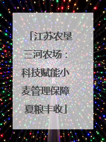 江苏农垦三河农场：科技赋能小麦管理保障夏粮丰收