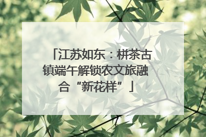 江苏如东：栟茶古镇端午解锁农文旅融合“新花样”